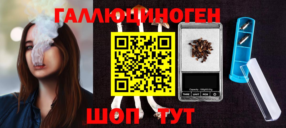 Каспийск  Псилоцибиновые грибы прущие грибы  Вход с VPN 